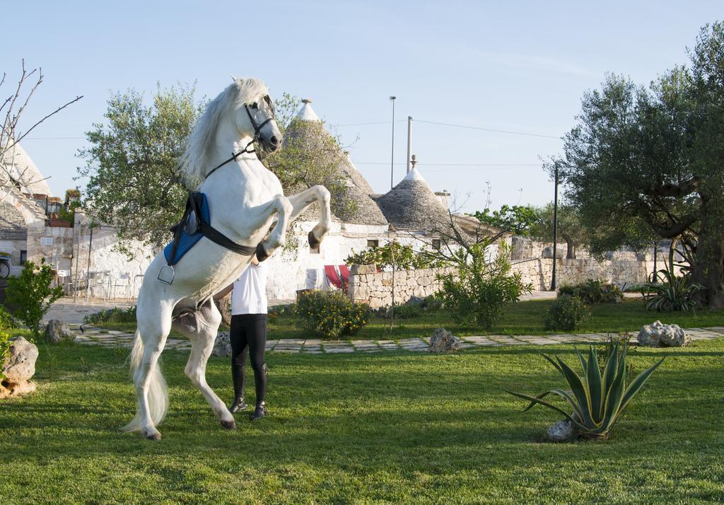 Affittacamere Il Gabellota 3*